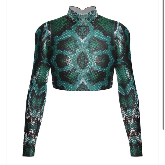 Snake Long Sleeve Crop top for solo dance in green with matching bottoms - Picture 1 of 2